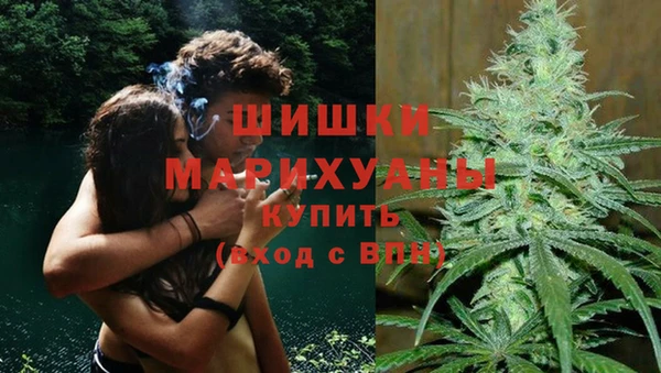 а пвп мука Бородино