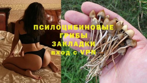 MDMA Богородск