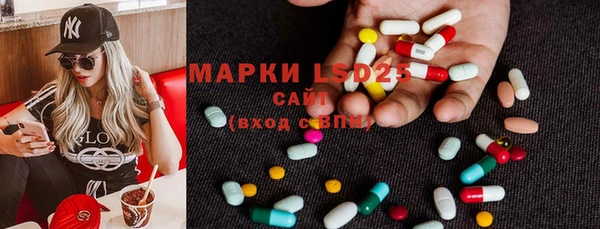 apvp Богданович